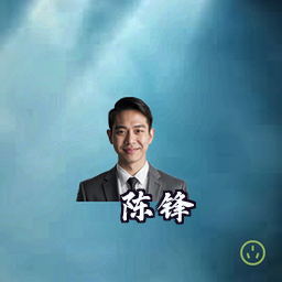 陈锋